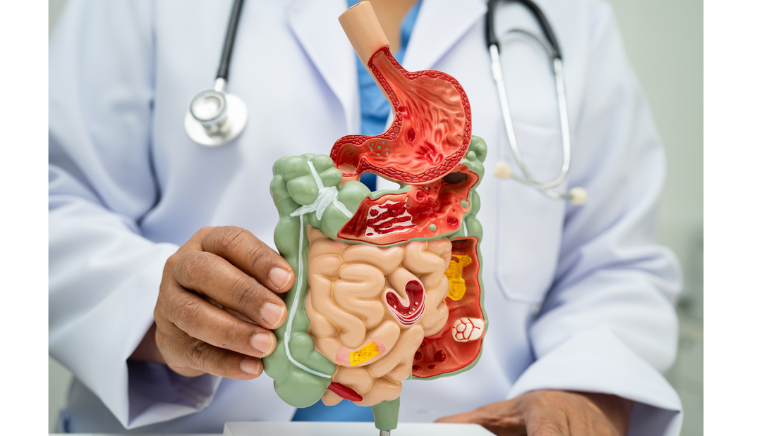 Expert Interview: Dr. Aya Sato on Immunity Through the Seasons