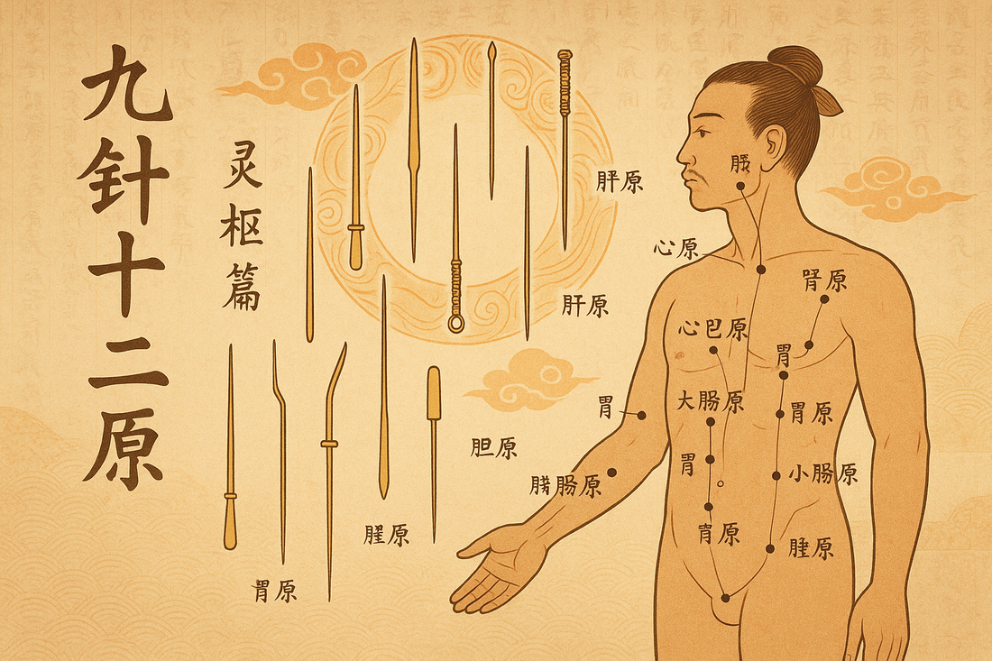 The Foundation of Acupuncture: Nine Needles and Twelve Source Points from Lingshu