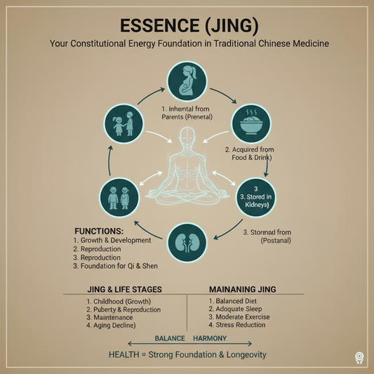 Essence (Jing) - Your Constitutional Energy Foundation in Traditional Chinese Medicine