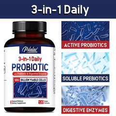Probiotics + Prebiotics + Digestive Enzymes - Improves Digestion and Immunity, Relieves Constipation, Supports Intestinal Health