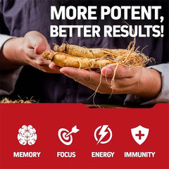 Korean Red Panax Ginseng Supplement - Increases Energy, Strength, Vitality, Performance and Focus